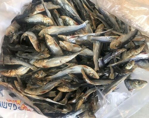 sardina seca